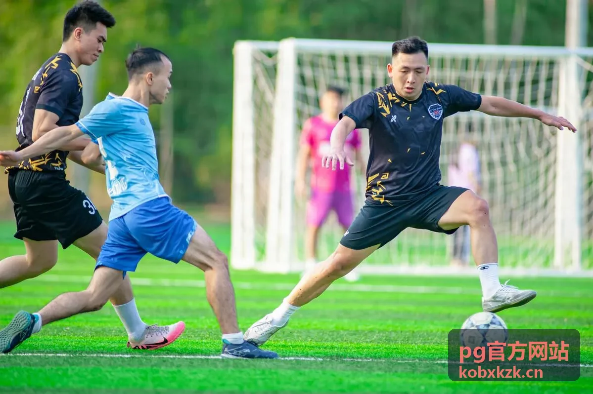 pg官方网站平台功能模块说明示意图